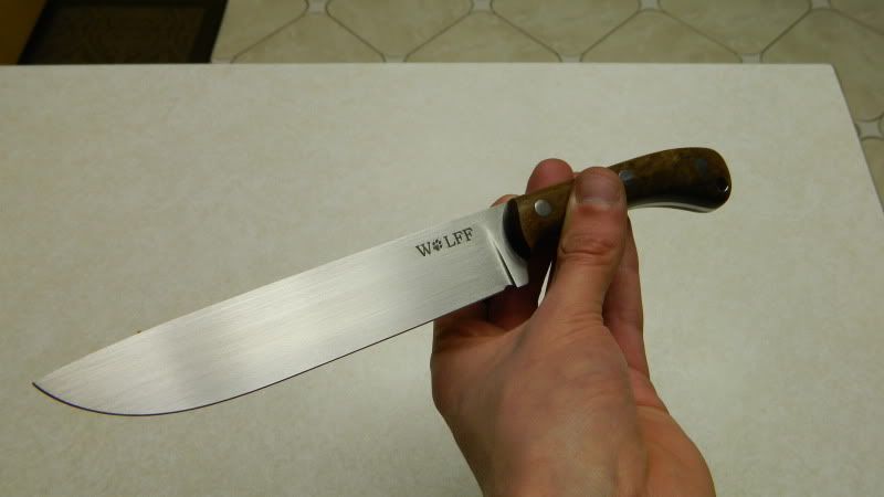 DSCN1300.jpg