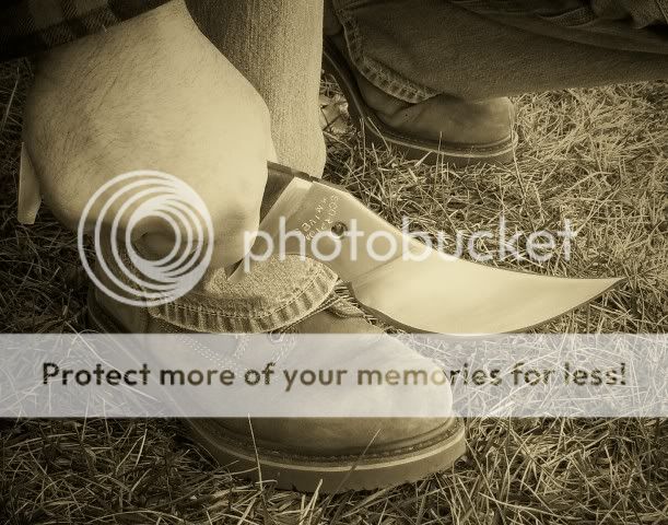 100_2568c.jpg