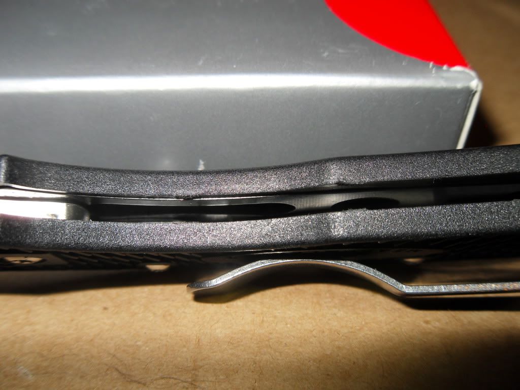 SDC12579.jpg