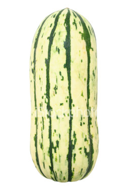 delicata_squash.jpg