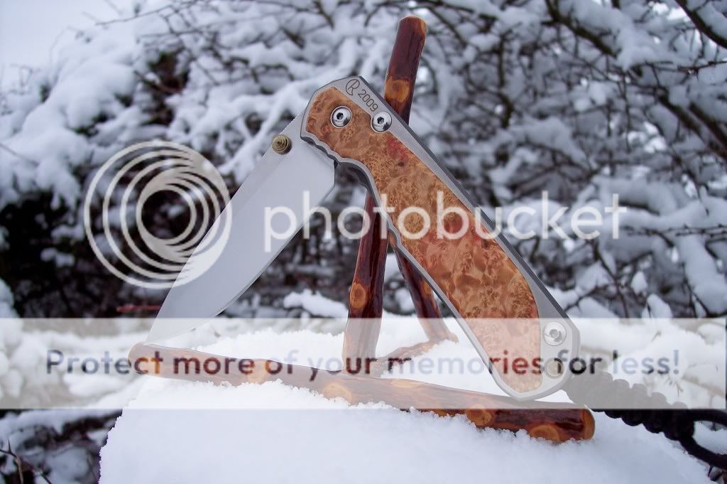 100_4890.jpg