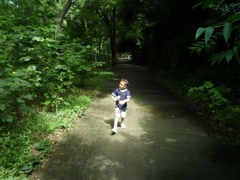 P1070941.jpg