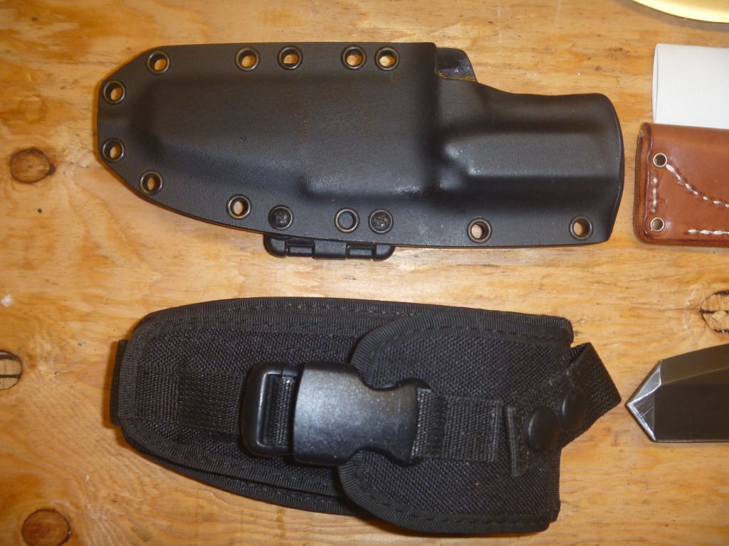 fin011.jpg