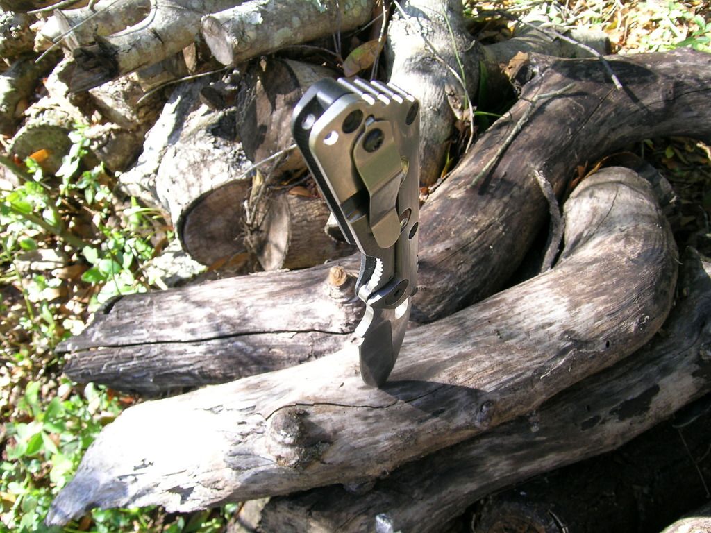 DSCN4879_zpsci0g0fvr.jpg