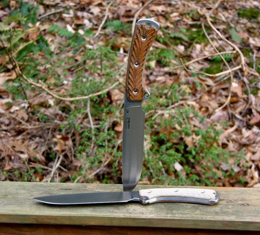 Busse-SARGE7LEb.jpg