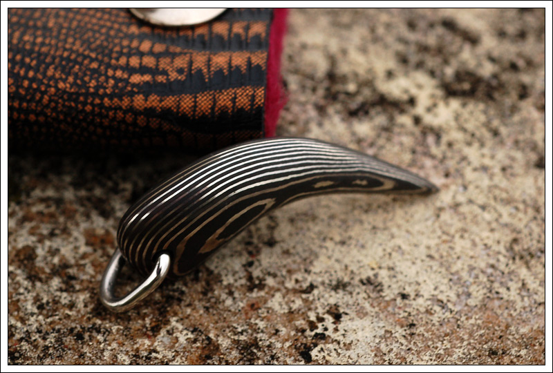 041209claw4.jpg