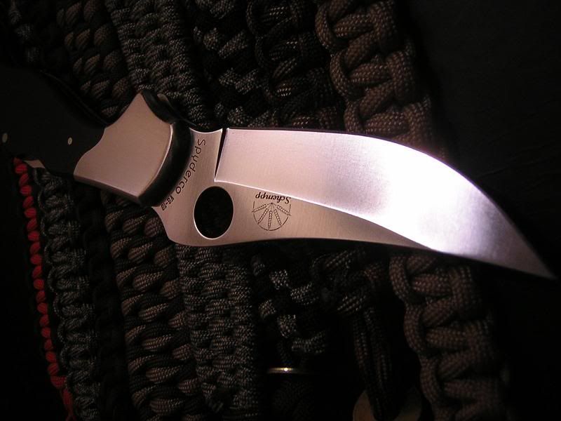 DSCN1446.jpg