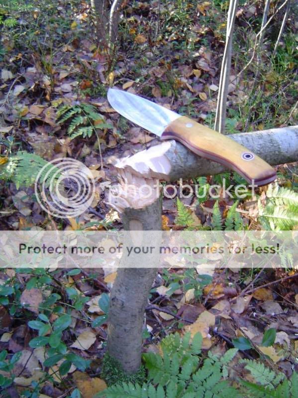 hunter1.jpg