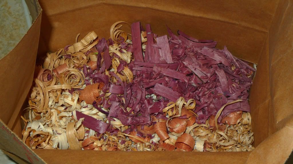 zP1140851.jpg
