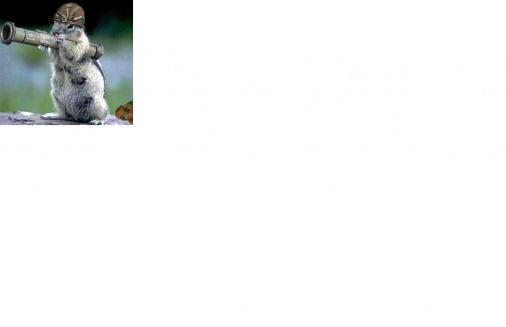 Squirrel_zpsdf29a8cf.jpg