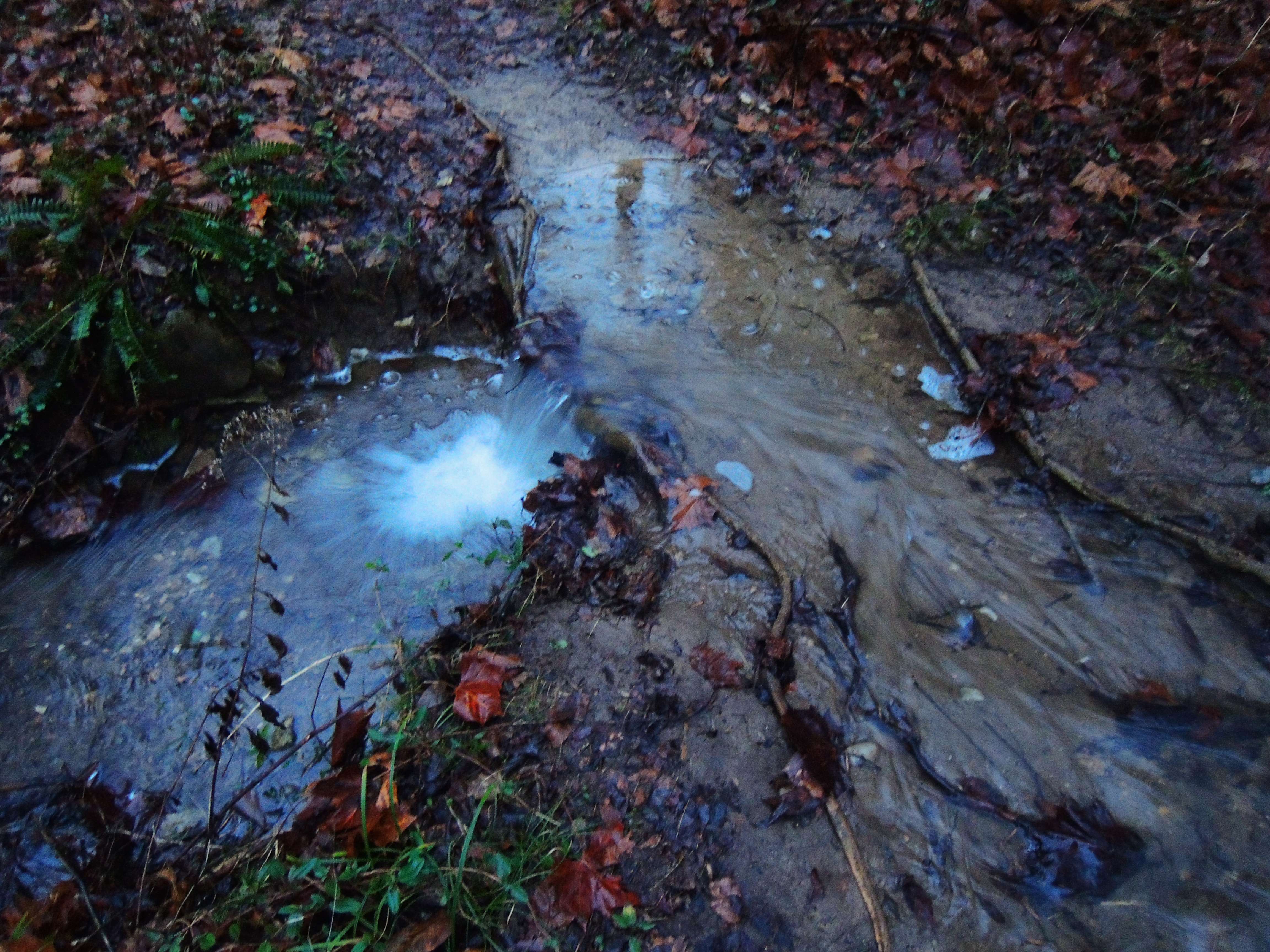 dscn5433i.jpg