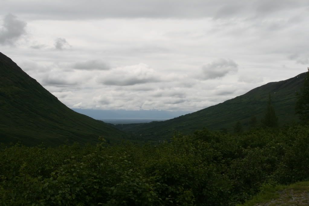 IMG_2128.jpg