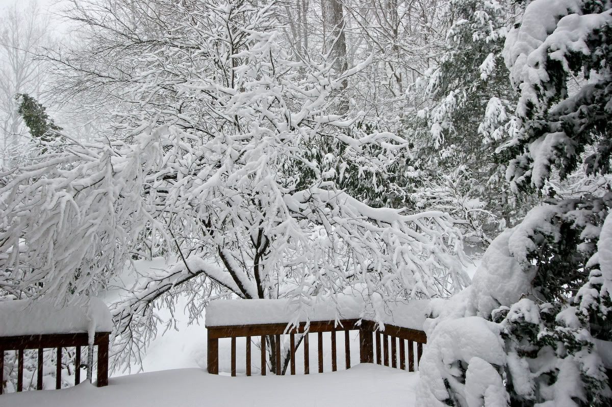 Blizzard_Feb-10-2010c.jpg