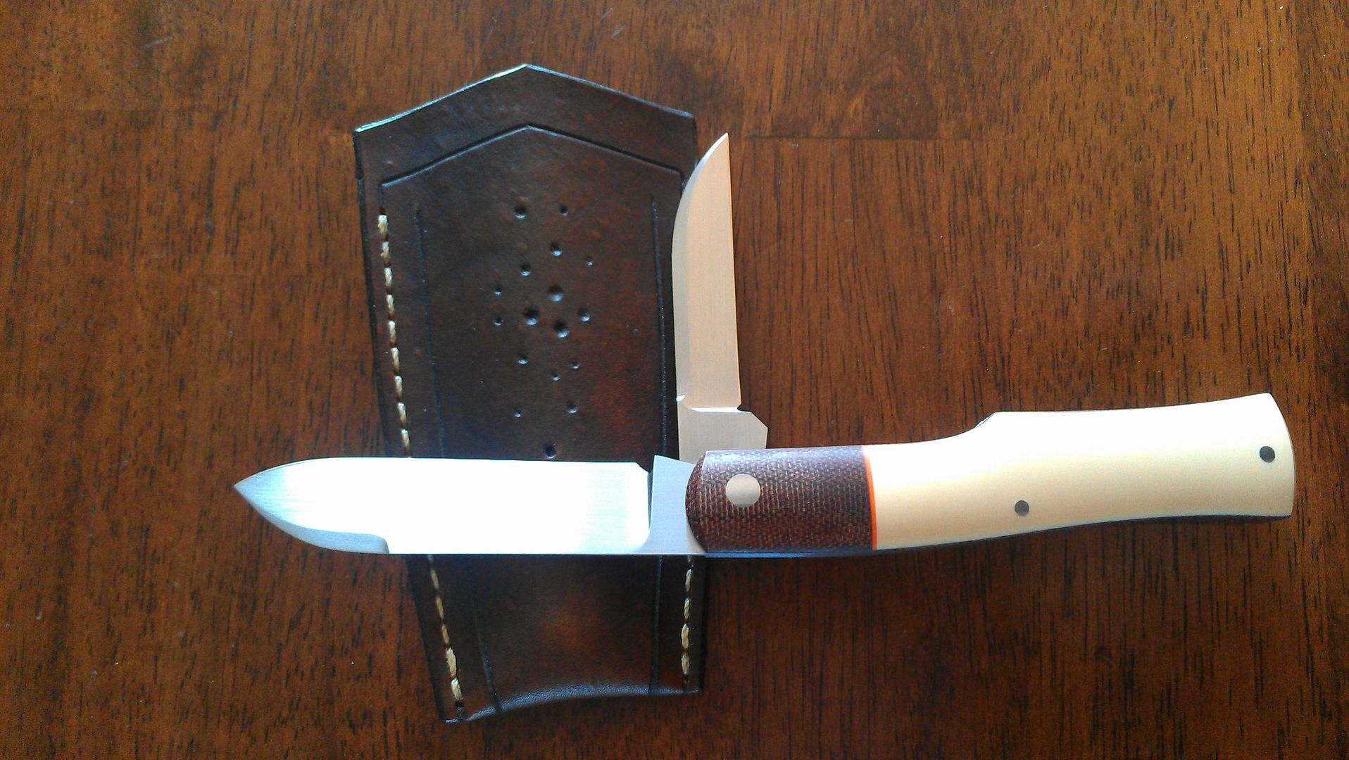 IMAG1116.jpg