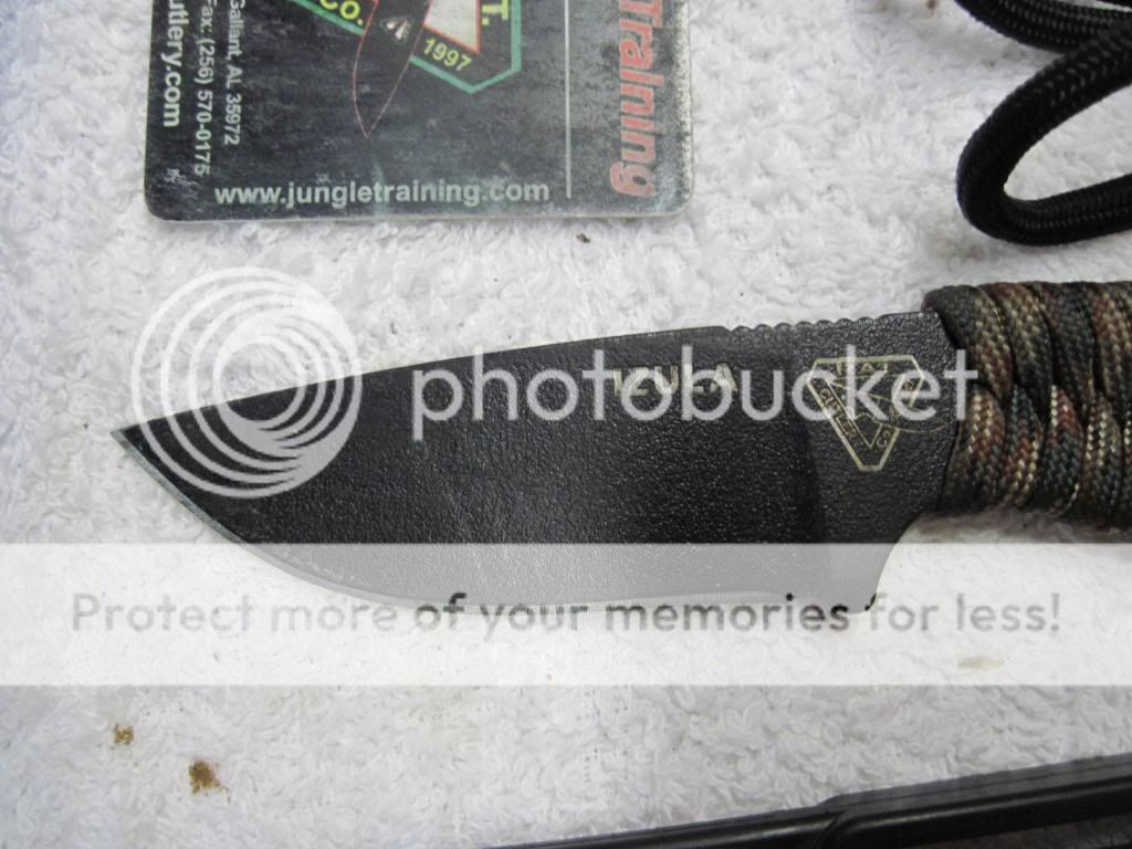 IMG_0427_zpsbd4d2a84.jpg