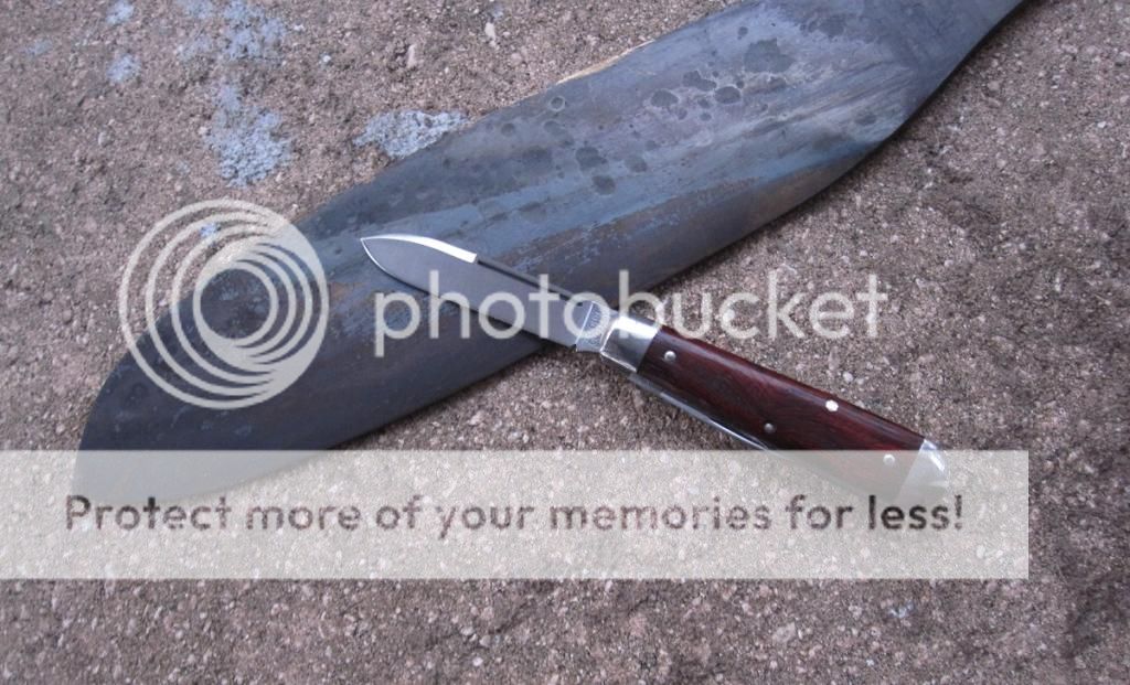 IMG_3860_zpspdmib5vb.jpg~original