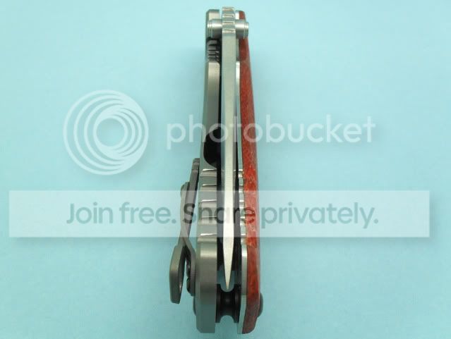 d873b81f.jpg