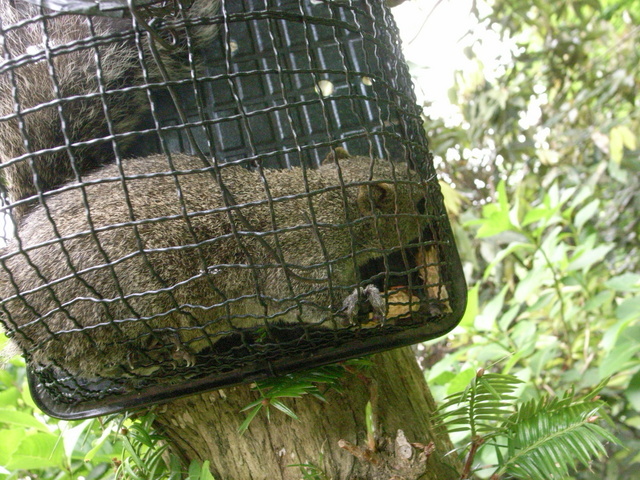 2009.05.20.R0018334.JPG