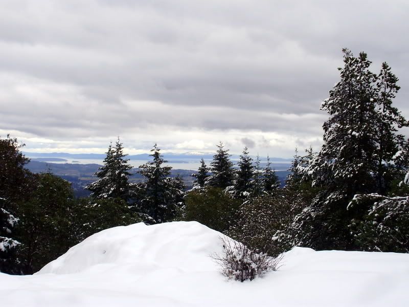 P2110022.jpg