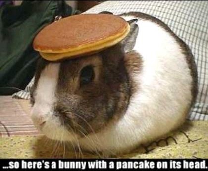 bunny-pancake.jpg