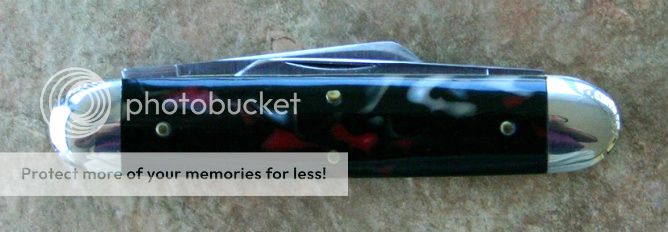 deadskunk-1.jpg~original