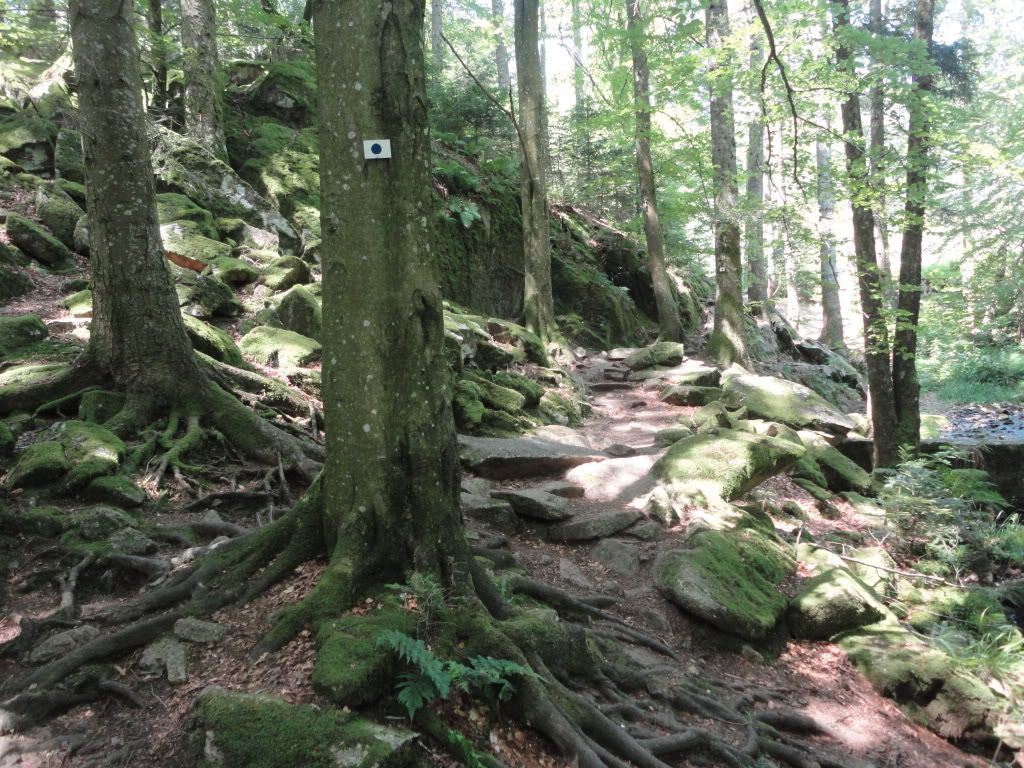 DSC01877.jpg