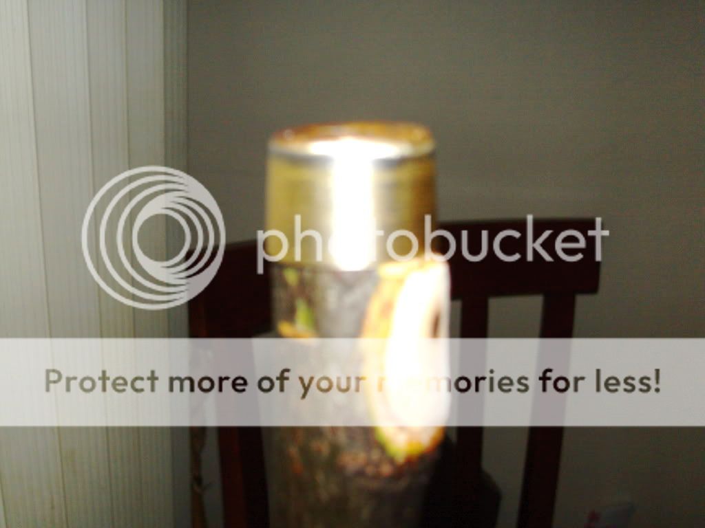 PICT0084.jpg