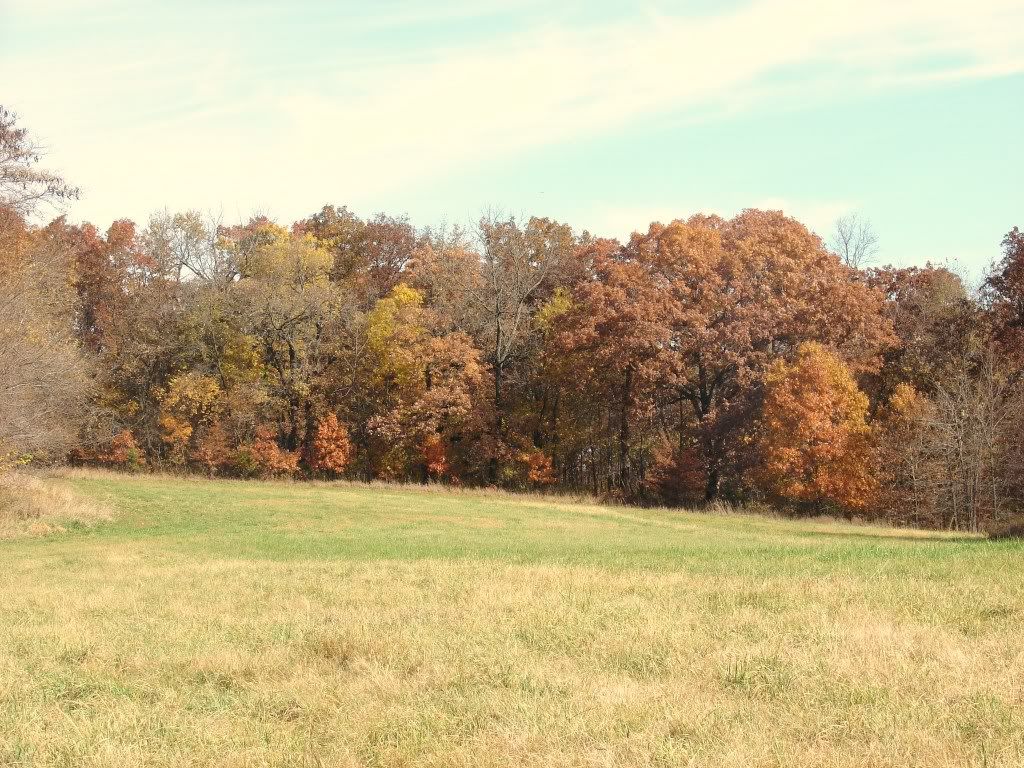 fall001.jpg