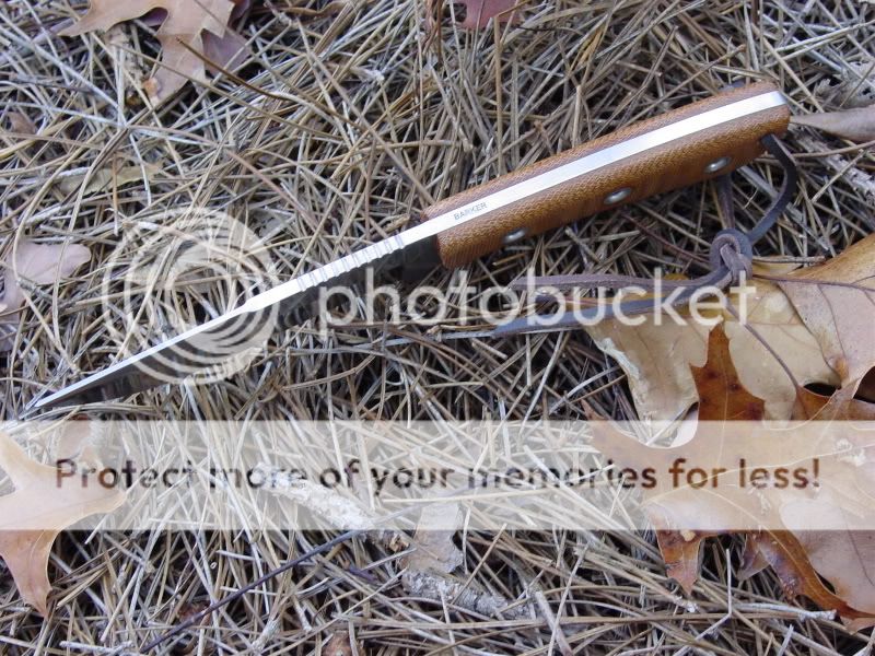 newhoundstoothandrecurve028.jpg