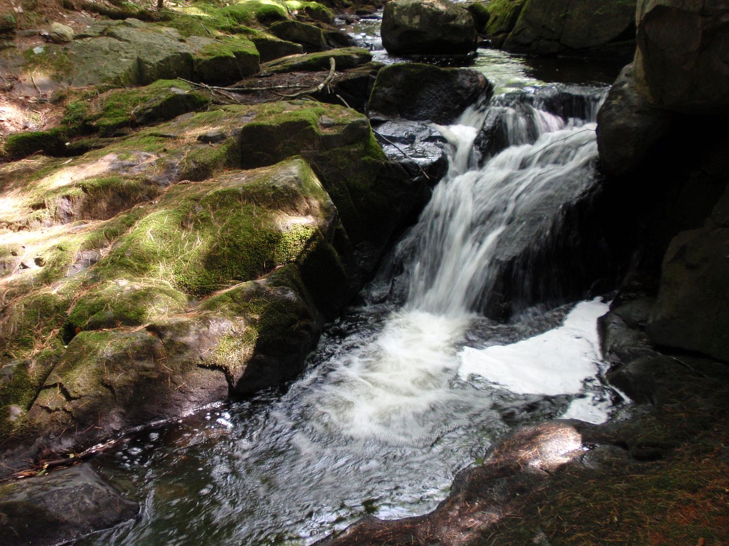 P7150190.jpg