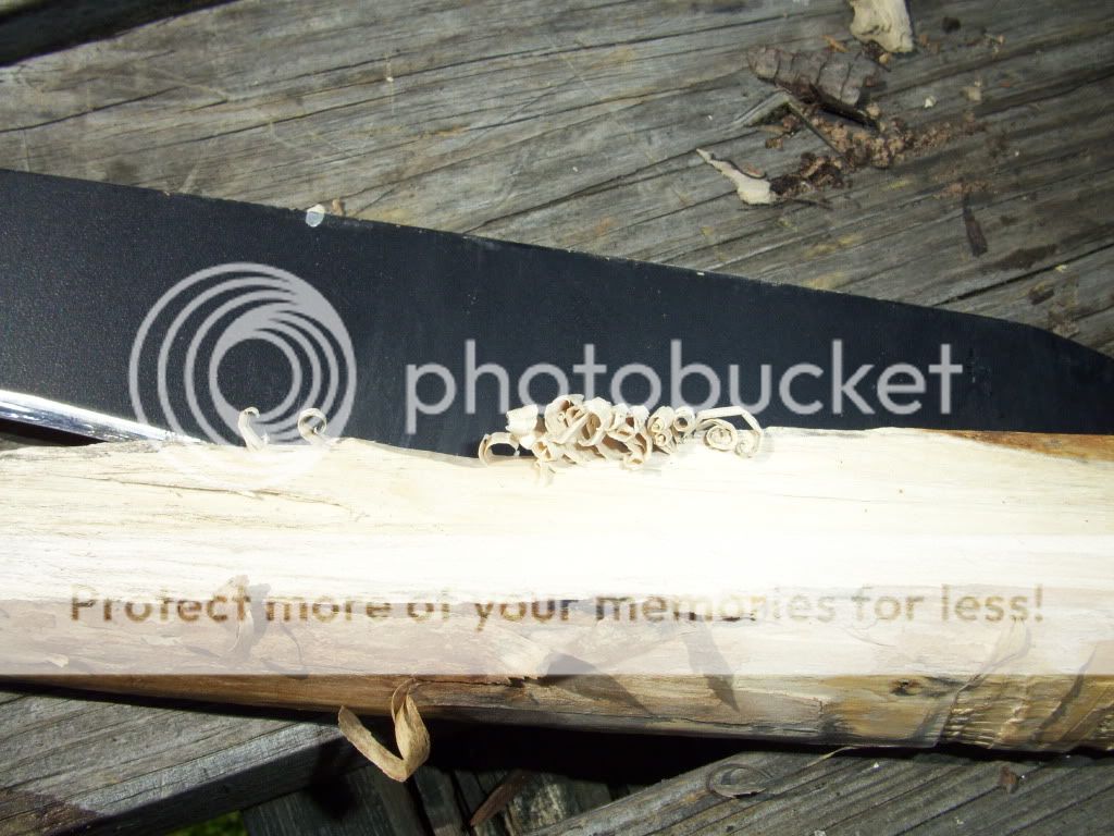 100_1361.jpg