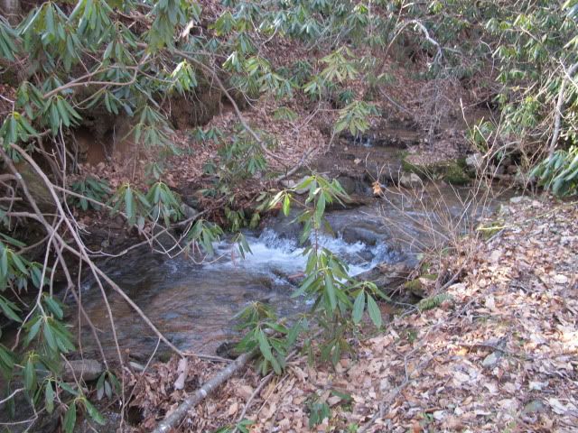 IMG_2404.jpg