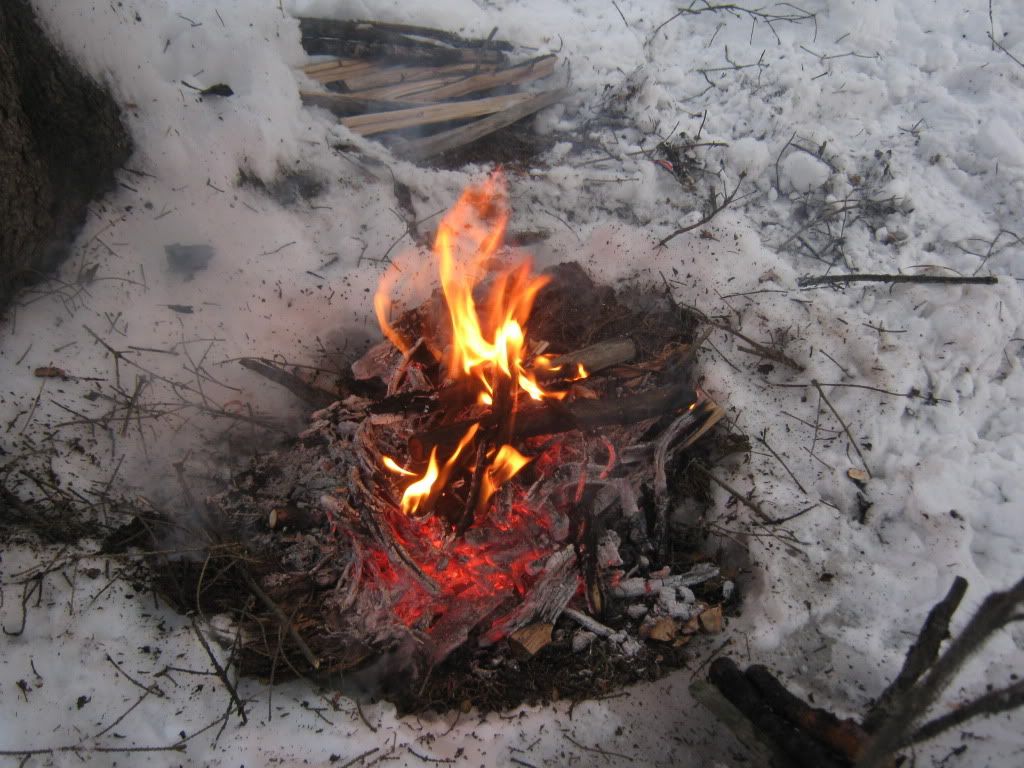 decemberbushcraft024.jpg