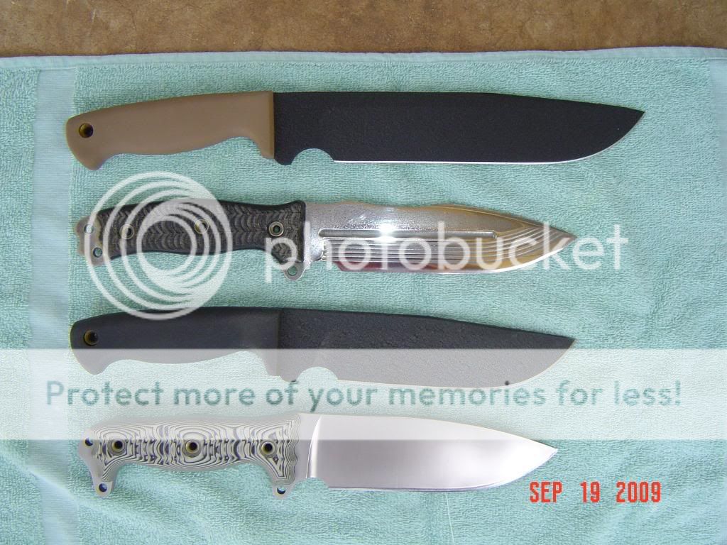 Picture001.jpg