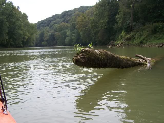 100_8224.jpg
