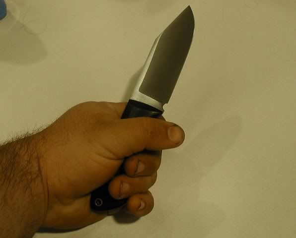 blackoxblood6.jpg