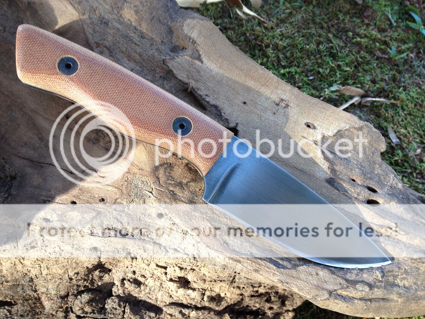 null_zps491cb1b9.jpg