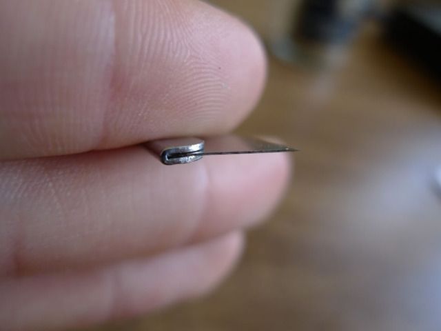 P1020820.jpg