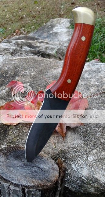 Scorpion%20Bushcraft%205_zpssjymjnmp.jpg