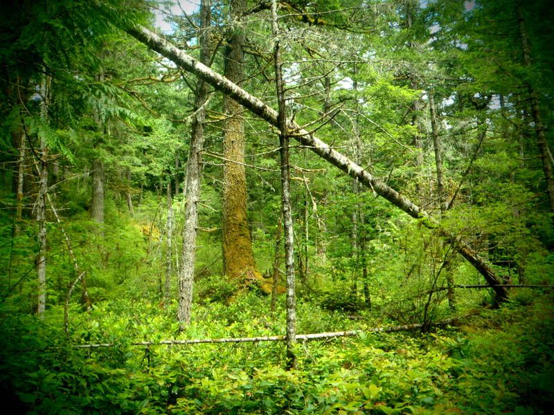 003-6.jpg