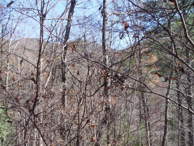 DSC03734.jpg