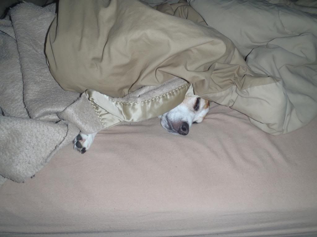 bellesleeping_zps7b5ffae5.jpg