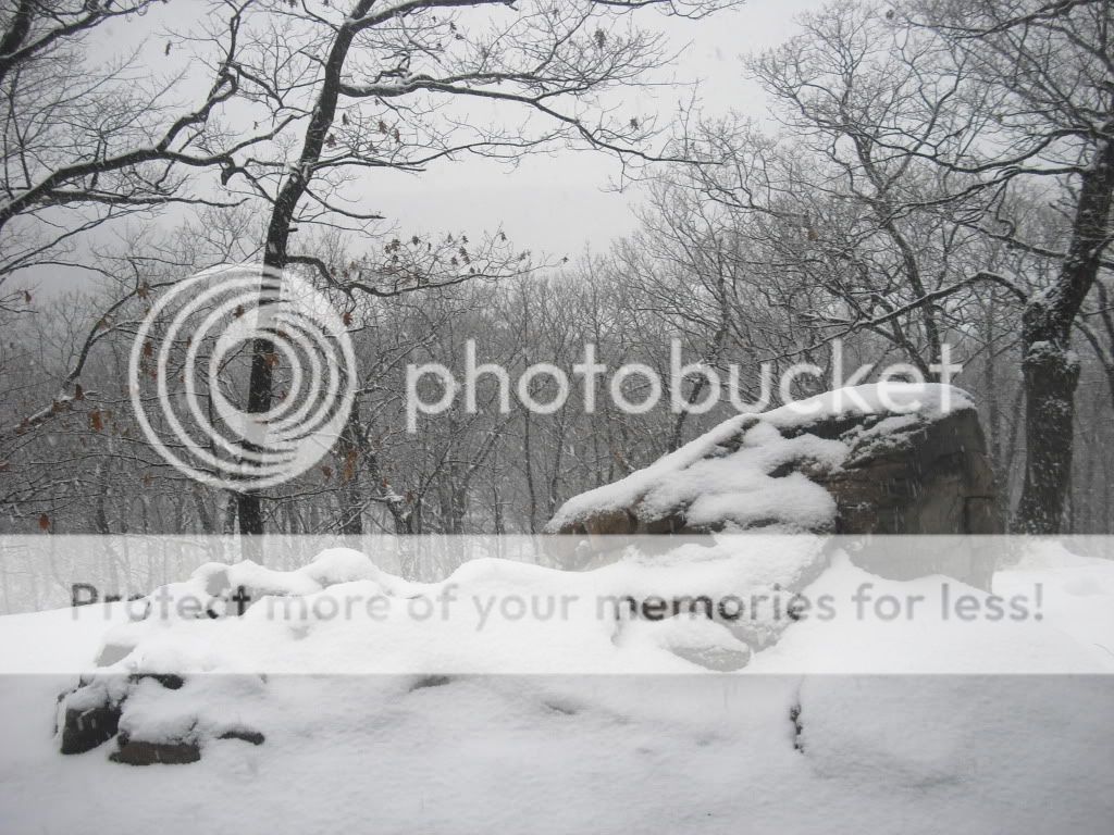 PICT0009-23.jpg