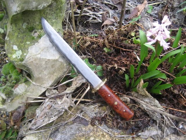 Photo769.jpg
