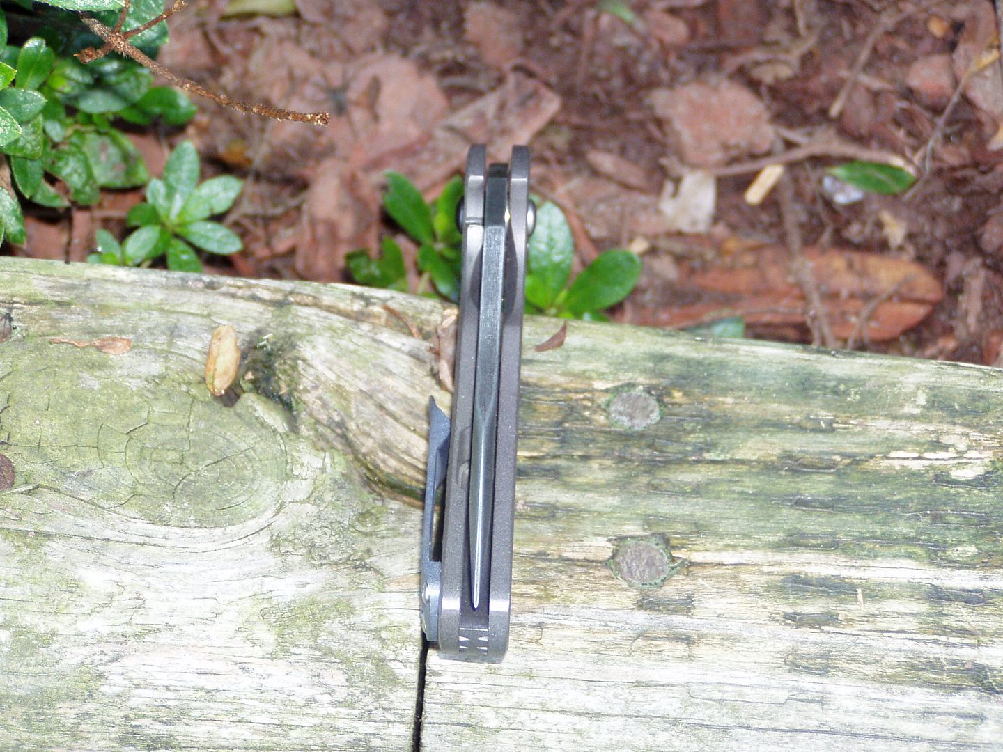 022_zps1cmh9crx.jpg