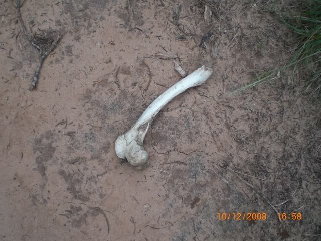 AbileneTripOctober2008048.jpg