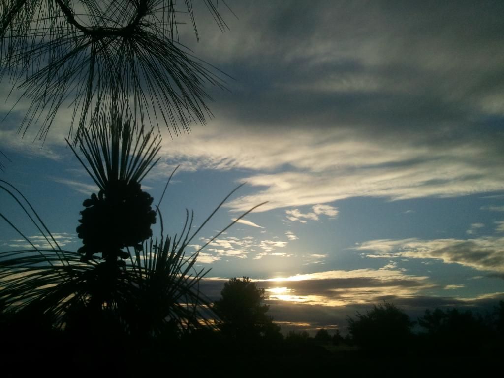 2013-06-24194650.jpg