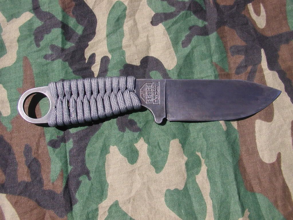 14Blued2.jpg