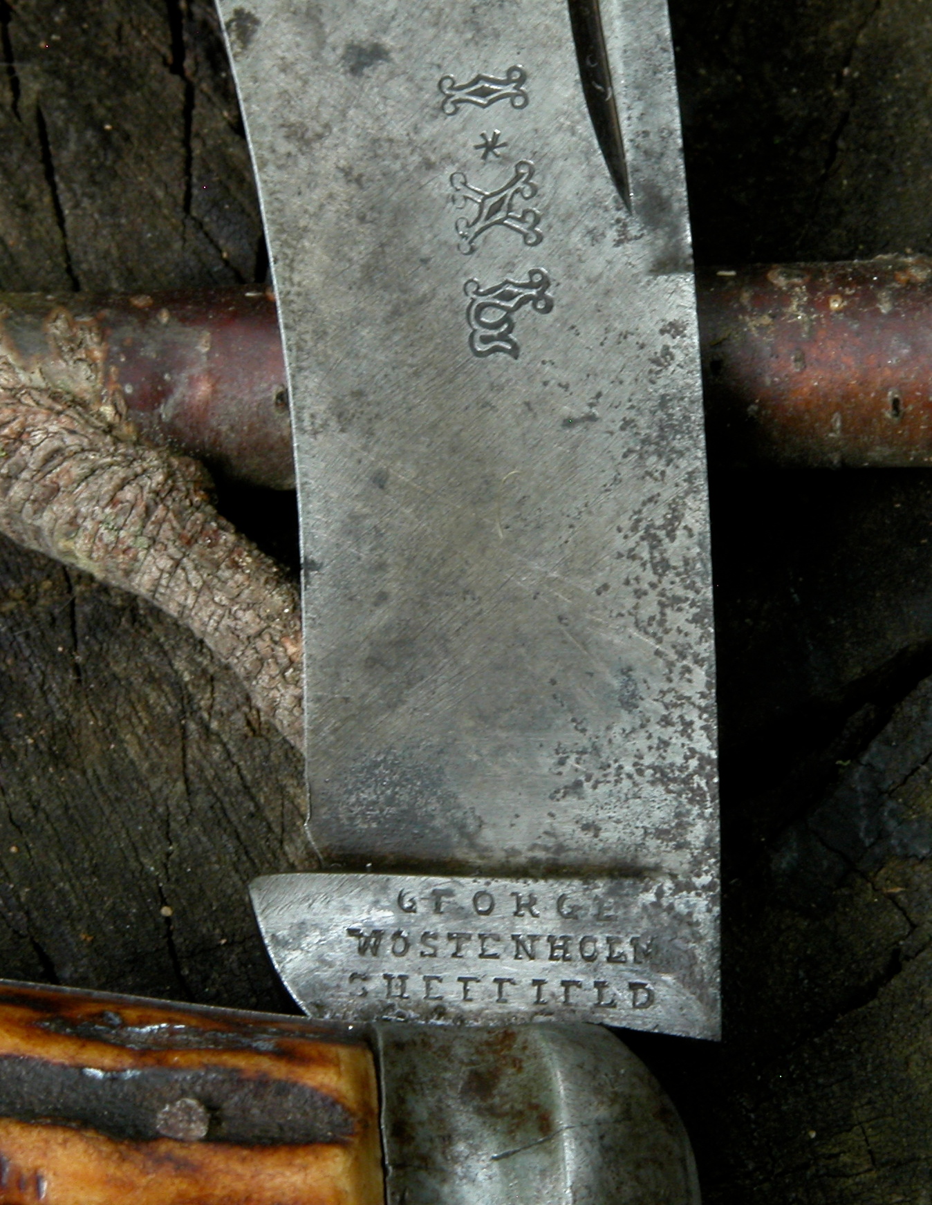 dXqZE5R.jpg