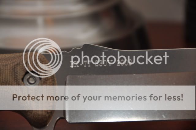BK772009.jpg